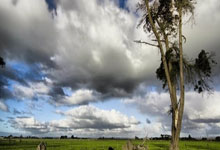 NG28-南宫28:墨西哥媒:肘击+背后踢人染红 拉莫斯恐将面临最多15场禁赛的处罚.